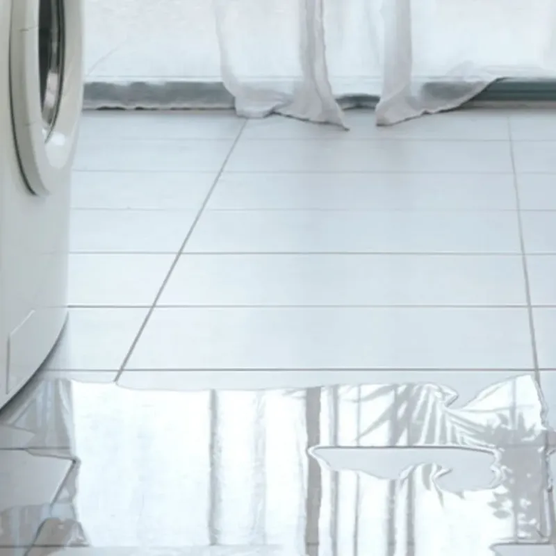 Appliance Leak Cleanup in Reed City, MI