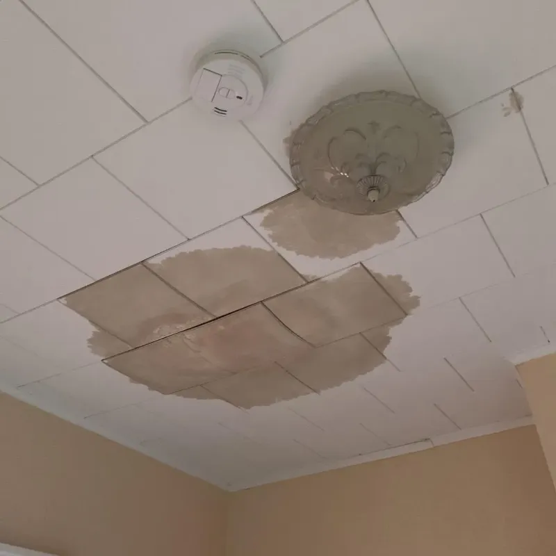 Ceiling Water Damage Repair in Reed City, MI